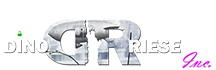 Web Design & SEO | DinoRiese.com Inc. Logo image